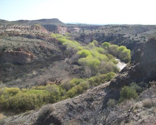 Las Cruces