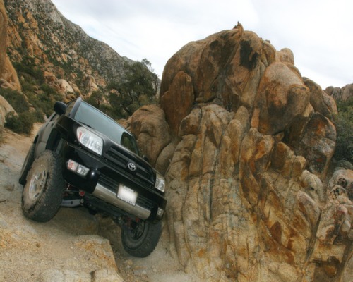 Mojave