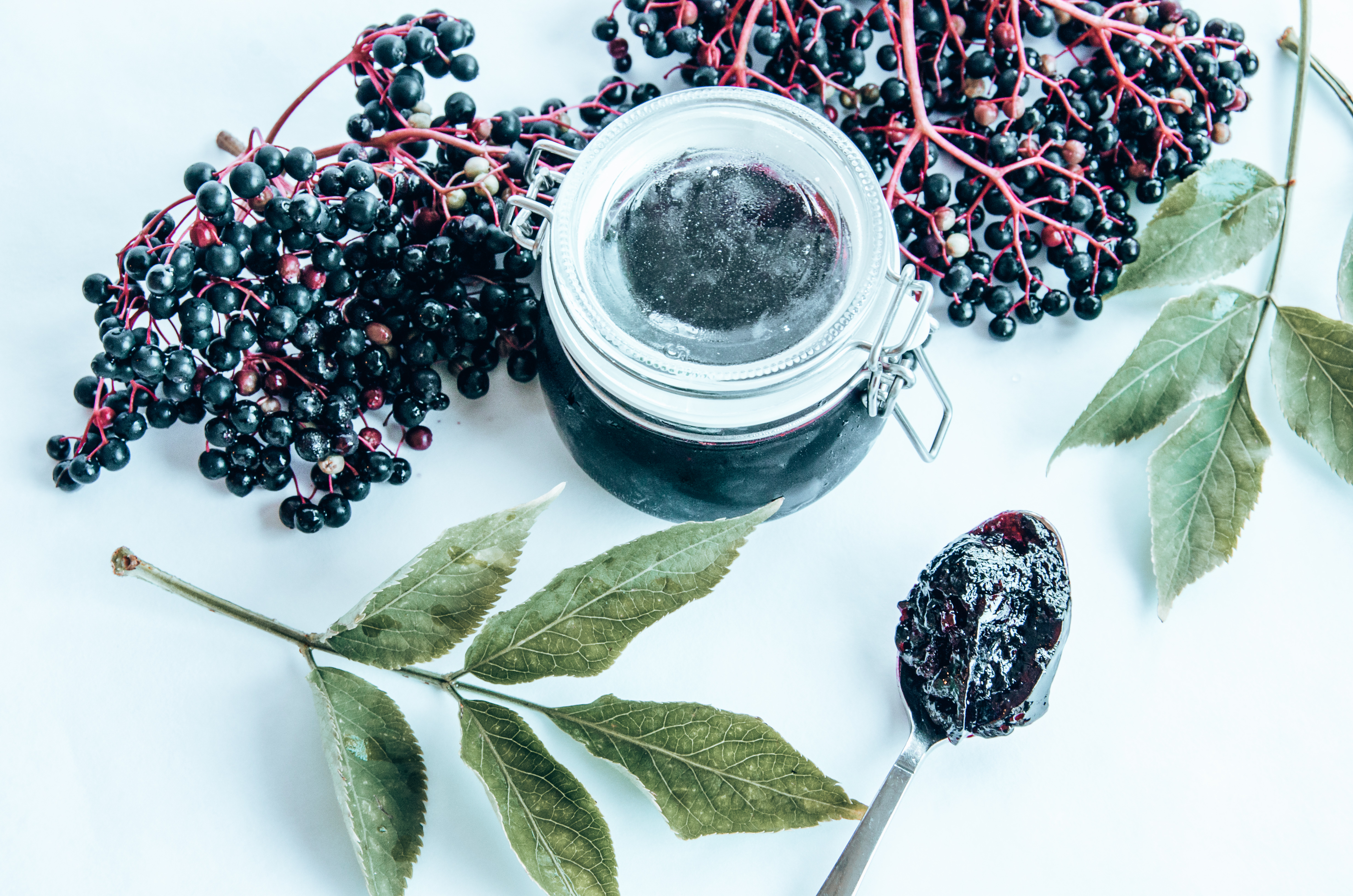 Top 10 Health Benefits Of Elderberries